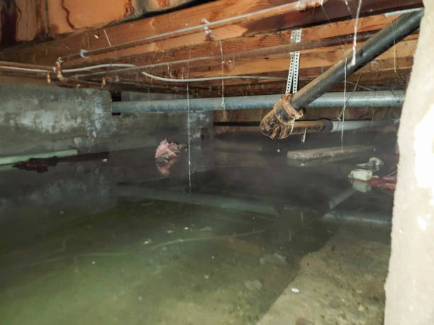 Best Sewage cleanup and water damage restoration  in Montrose, PA
