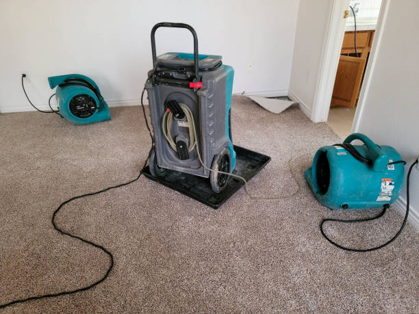 Best Commercial water damage restoration  in Montrose, PA