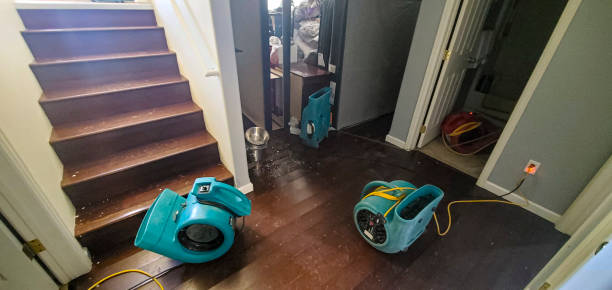 Best Professional water damage repair  in Montrose, PA