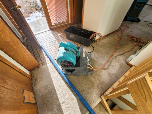 Best Water damage restoration insurance claims  in Montrose, PA