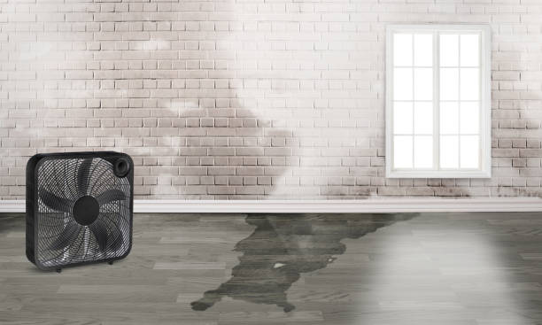 Reliable Montrose, PA Water damage restoration Solutions