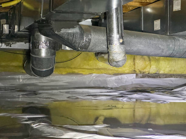 Best Carpet water damage restoration  in Montrose, PA