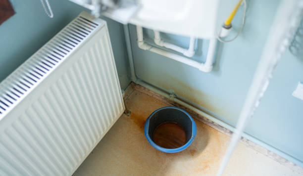 Best Flooded house restoration  in Montrose, PA
