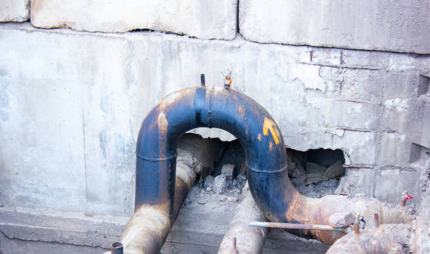 Best Local water damage restoration  in Montrose, PA